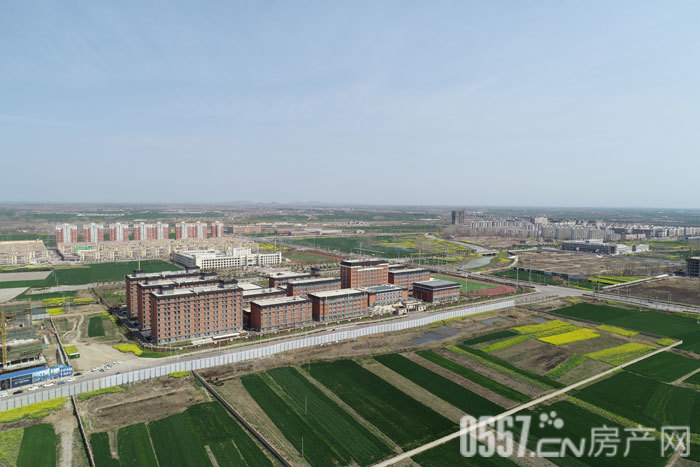 宿城宿马学校周边实景