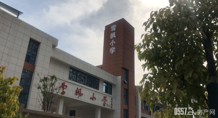 雪枫小学金方校区"开学季"开启新梦想 迎接新希望