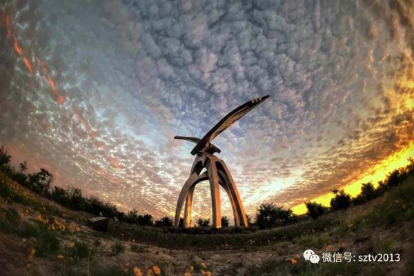 "老鹰膀子"-鹏程雕塑