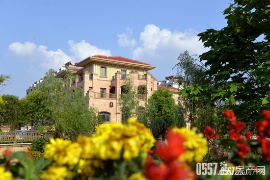 上河·水香别墅290-581㎡城市别墅收官献礼 - -宿州房产网 0557.cn