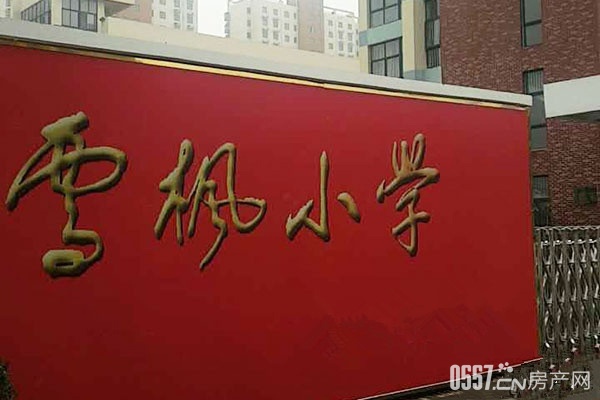 广源·缤纷城学区已确定!雪枫小学,名校保驾护航